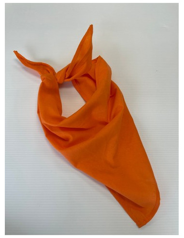 Bandana / Scarf Orange